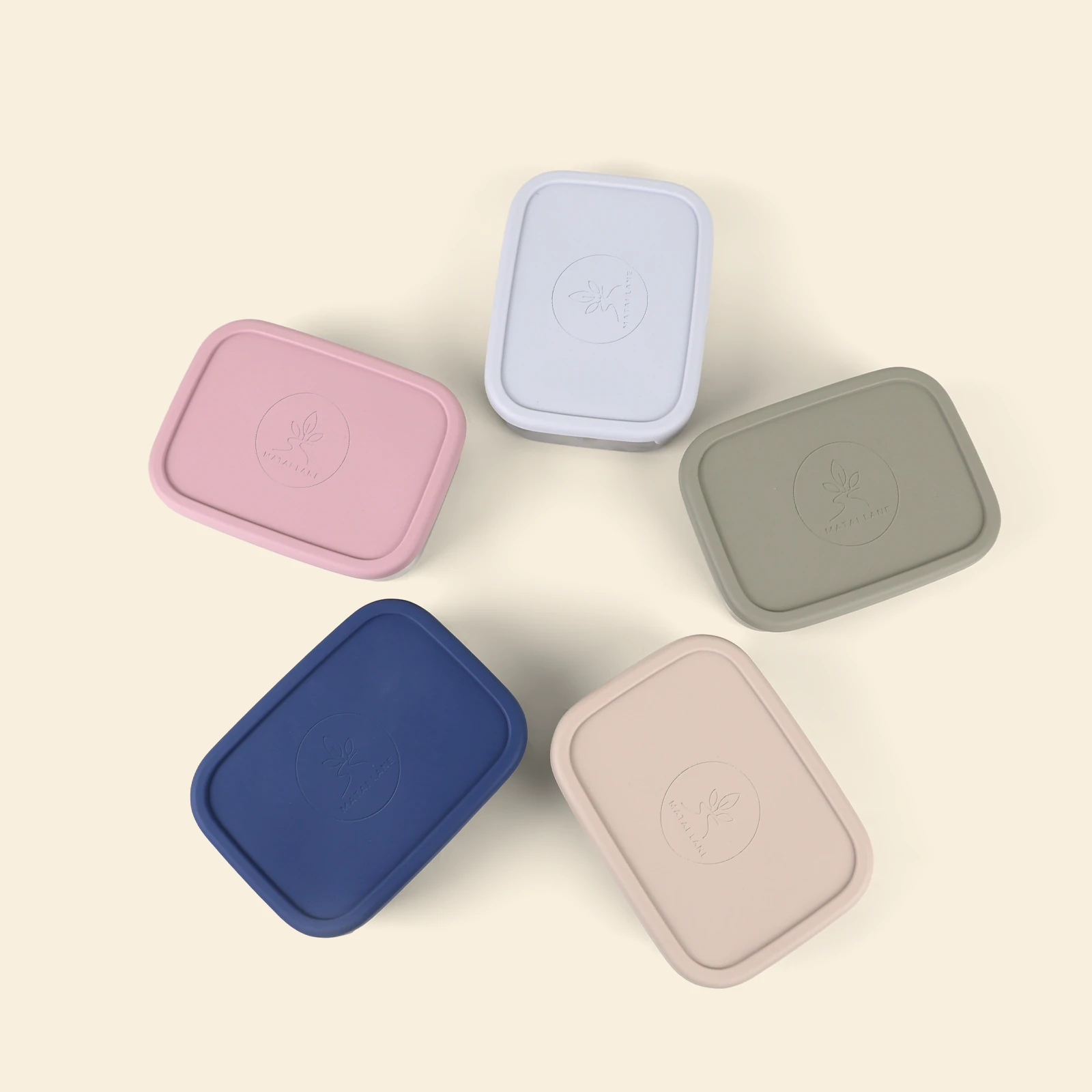 FlexiBento Steel Lunch Box
